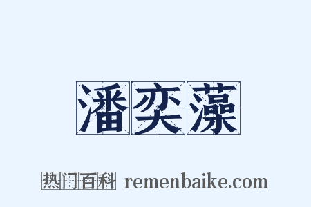 潘奕藻是什么意思的图片